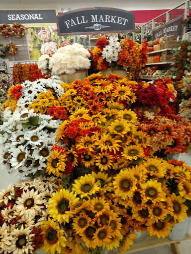 Craft Store «Michaels», reviews and photos, 540 Frandor Ave, Lansing, MI 48912, USA