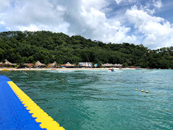 Photo de Cadmus Beach situé dans une zone naturelle