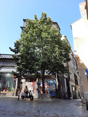 Le Massillon à Clermont-Ferrand