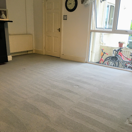 Crazy Carpet & Upholstery Cleaning - Devon & Cornwall