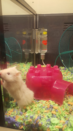 Pet Supply Store «PetSmart», reviews and photos, 4120 E 4th St, Ontario, CA 91764, USA