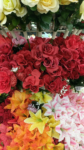 Dollar Store «Dollar Tree», reviews and photos, 1549 NE 145th St, Seattle, WA 98155, USA