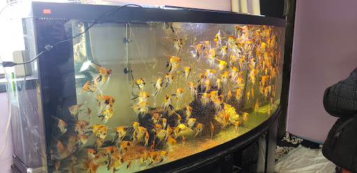 Fish Farm «Aquarium & Garden Inc.», reviews and photos, 1610 S 341st Pl f, Federal Way, WA 98003, USA