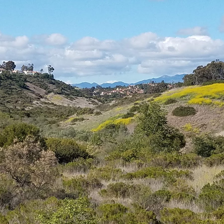 Salt Corridor Regional Park