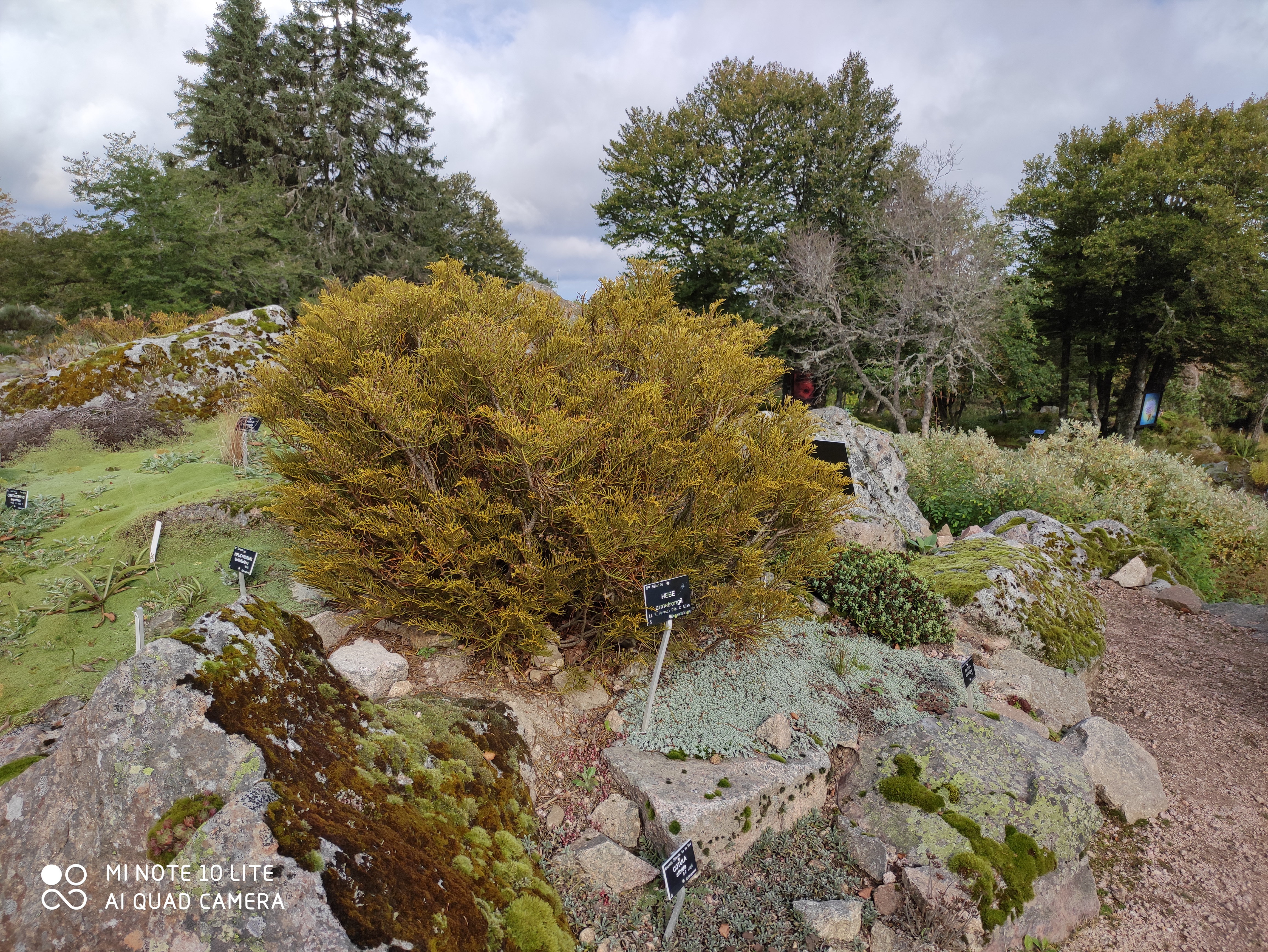 Photo n° 6 de l'avis de Isabelle.o fait le 27/09/2021 à 09:18