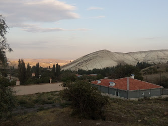 Bucuk Yaylası Mezarlığı