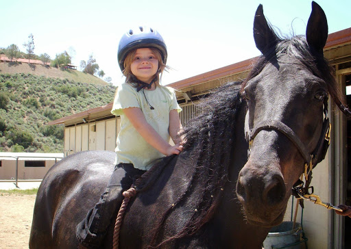 Horse breeder Palmdale