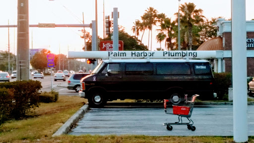 Domenic Antonelli Plumbing in Palm Harbor, Florida