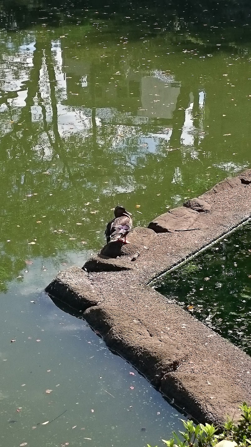 入間市景観50選/No.17 八ツ池公園