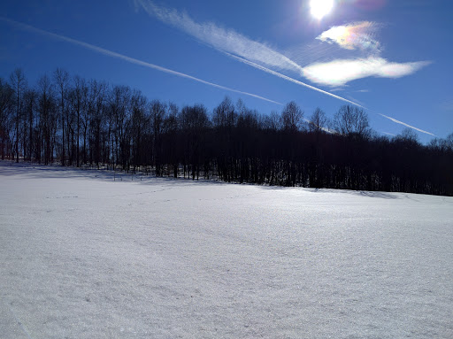 Disc Golf Course «Scarboro Hills Disc Golf Course», reviews and photos, 3130 Sandy Hook Rd, Street, MD 21154, USA