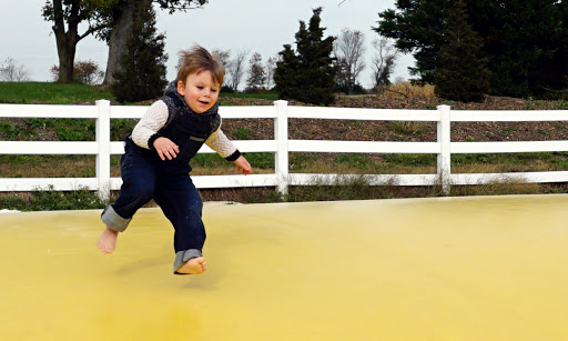 Festival «Temple Hall Fall Festival & Corn Maize», reviews and photos, 15855 Limestone School Rd, Leesburg, VA 20176, USA