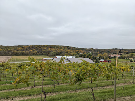 Winery «Madison County Winery», reviews and photos, 3021 St Charles Rd, St Charles, IA 50240, USA