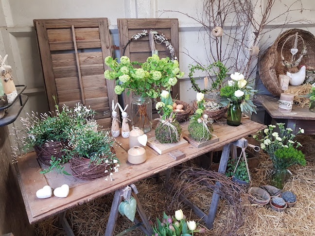 Rezensionen über Un brin de Nature in Delsberg - Gartenbauer