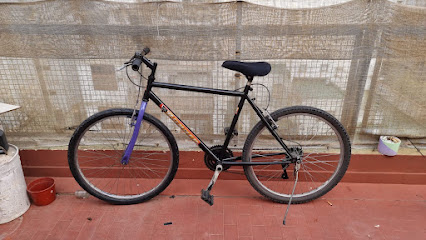 Zzino Bikes