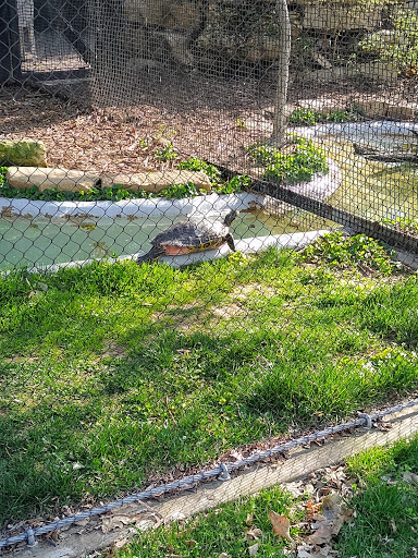 Zoo «Kansas Wildlife Exhibit», reviews and photos, 600-630 Nims N, Wichita, KS 67203, USA