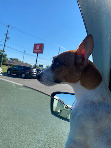 Drug Store «Walgreens», reviews and photos, 397 US-46, Fairfield, NJ 07004, USA