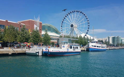 Navy Pier image