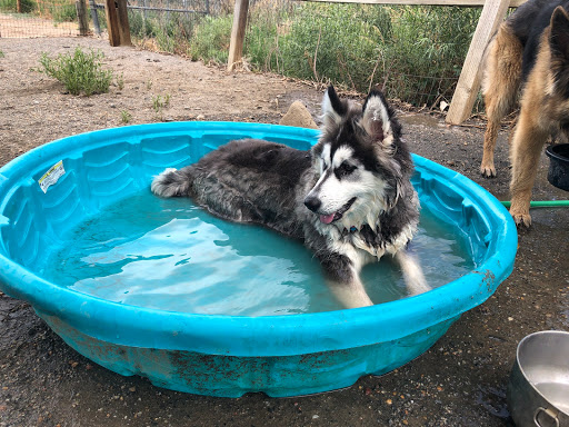 Dog Park «Grandview Dog Park», reviews and photos, 17500 E Quincy Ave, Aurora, CO 80015, USA