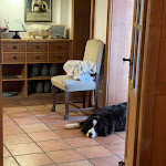 Photo n°9 de l'avis de Tom. fait le 30/10/2023 à 17:51 sur le  Gasthof Wäscherschloss à Wäschenbeuren