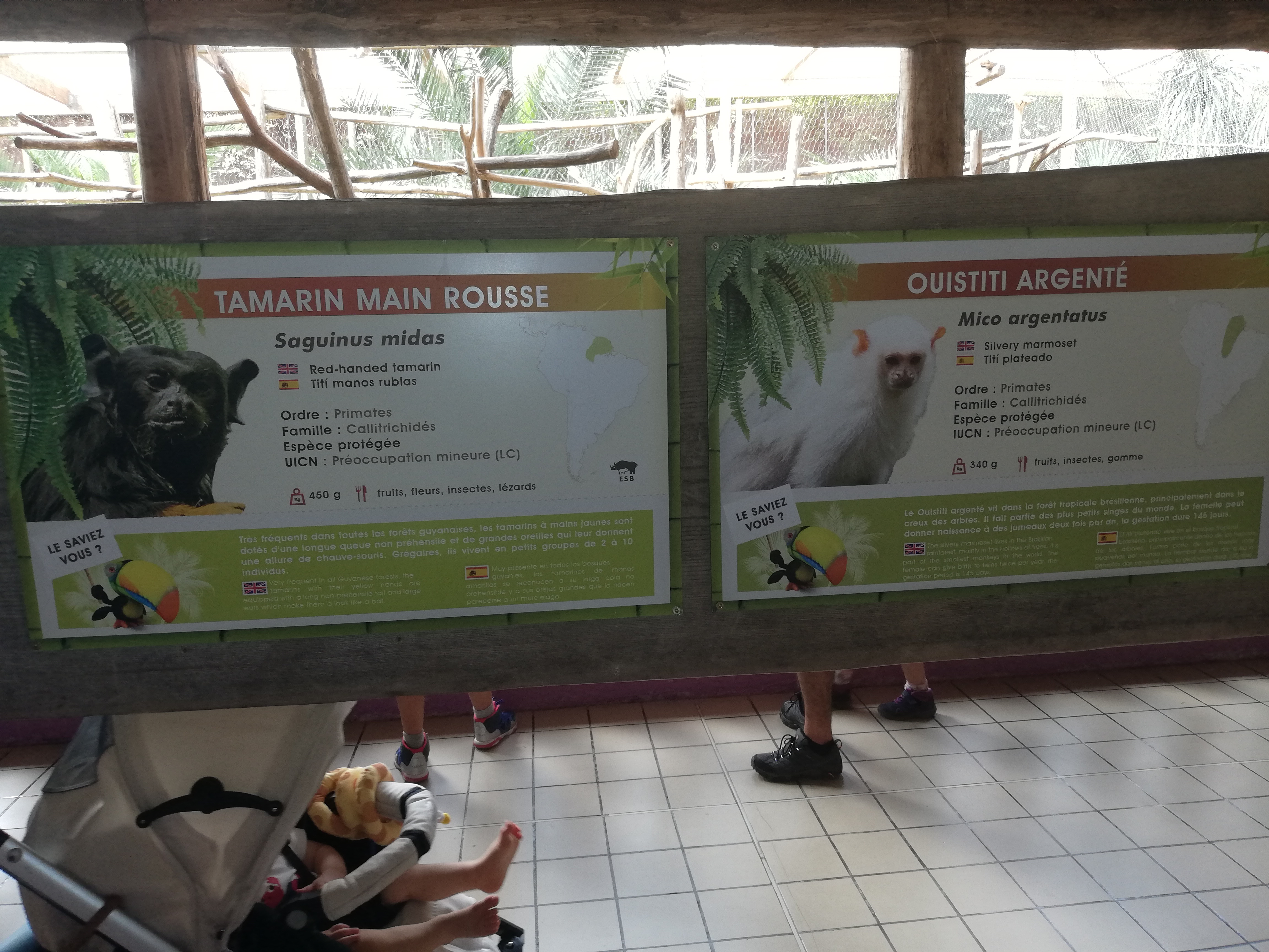 Photo n° 7 de l'avis de Soleil. fait le 20/08/2020 à 12:36