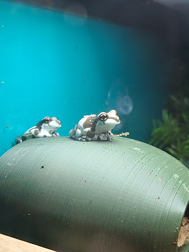 Pet Store «Pet Advantage», reviews and photos, 350 Dorset St # 1, South Burlington, VT 05403, USA