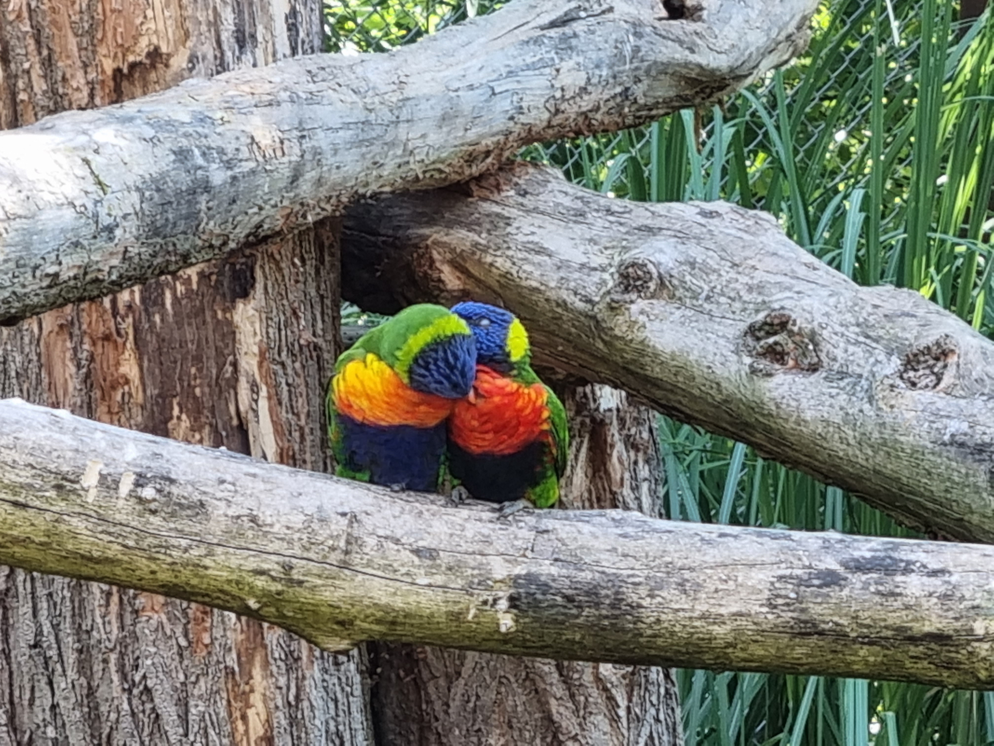 Photo n° 3 de l'avis de William.o fait le 06/08/2022 à 16:28