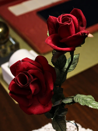 Art Museum «George Eastman Museum», reviews and photos, 900 East Ave, Rochester, NY 14607, USA