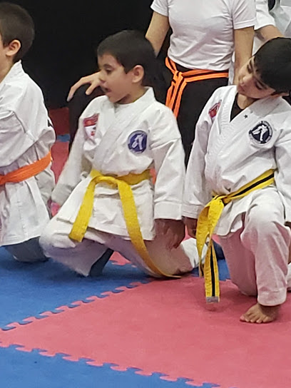 ATC Asunción Taekwondo Club