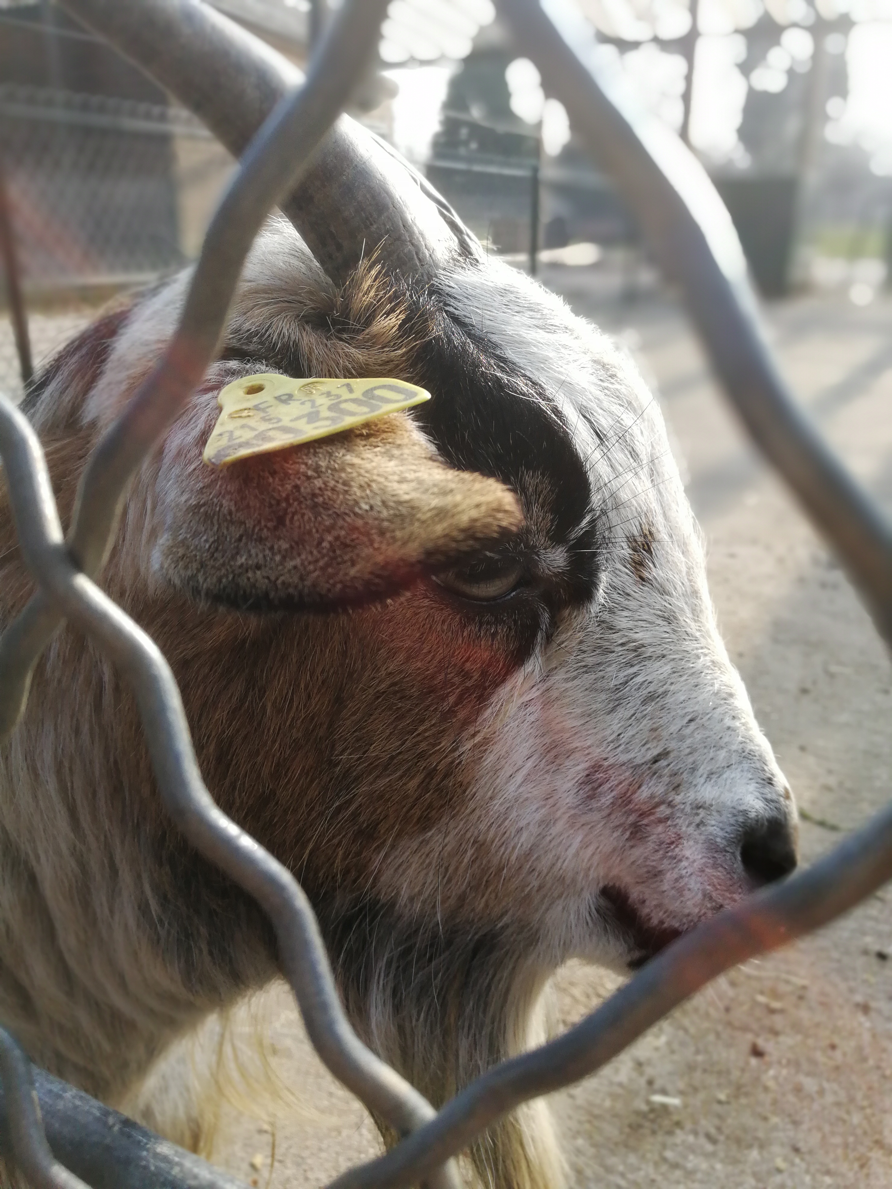 Photo n° 6 de l'avis de Vincent.t fait le 24/02/2018 à 15:49