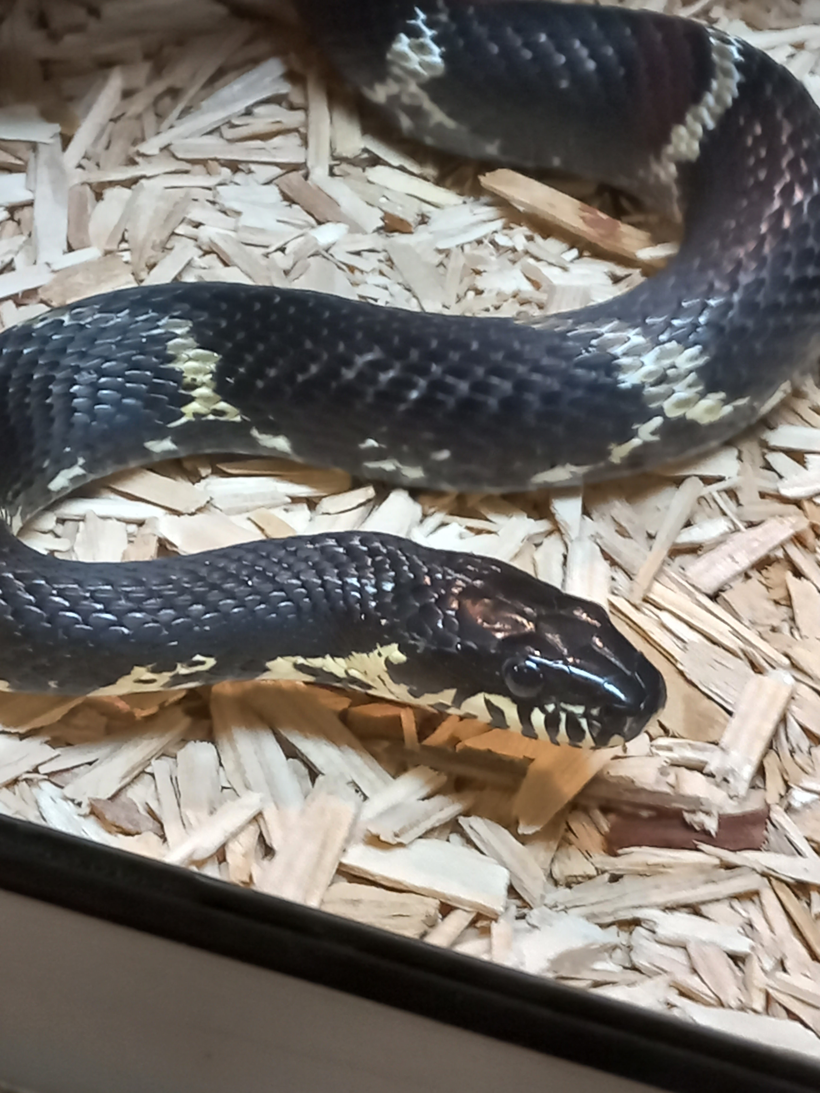 Photo n° 8 de l'avis de MARTINE.o fait le 09/06/2023 à 17:12