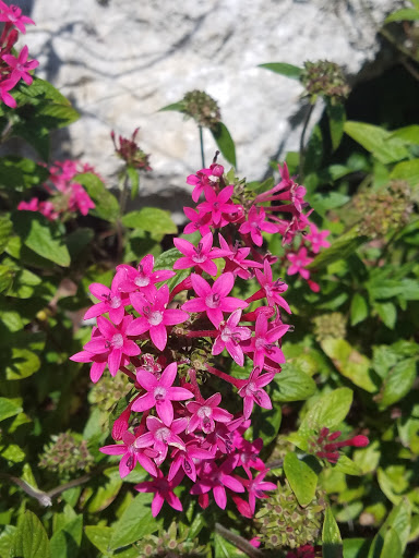 Campground «Savannas Recreation Area», reviews and photos, 1400 E Midway Rd, Fort Pierce, FL 34982, USA