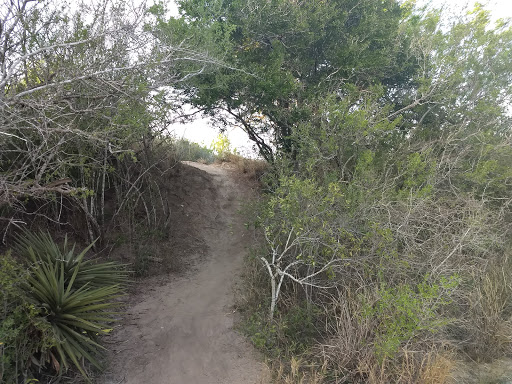 Park «Arroyo Park», reviews and photos, 1101 E New Hampshire St, Harlingen, TX 78550, USA