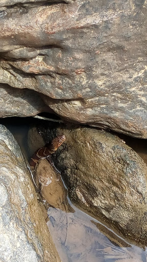 Tourist Attraction «Vickery Creek Falls Roswell Mill», reviews and photos, 95 Mill St, Roswell, GA 30075, USA