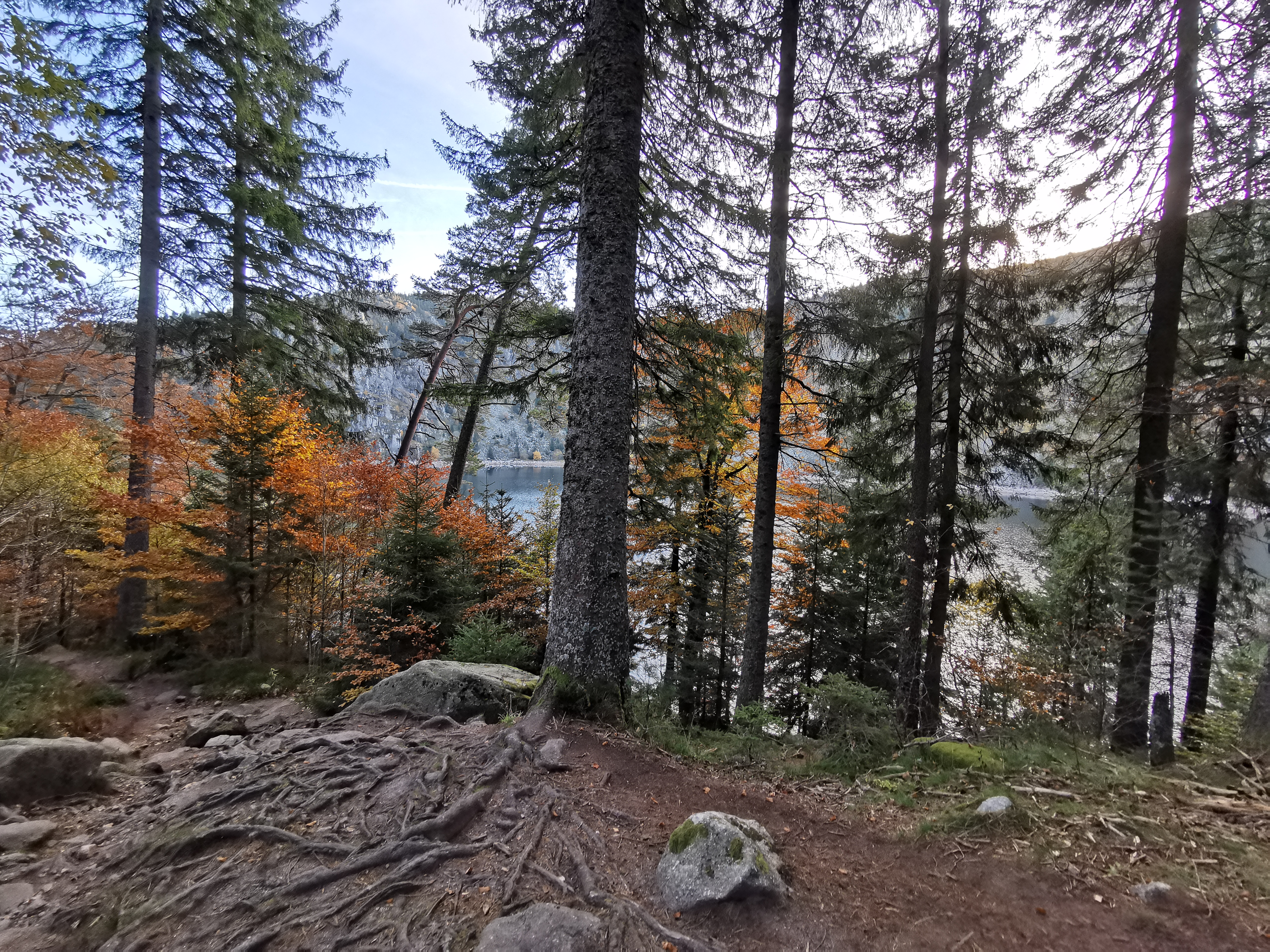 Photo n° 1 de l'avis de Guillaume.o fait le 28/10/2021 à 15:22