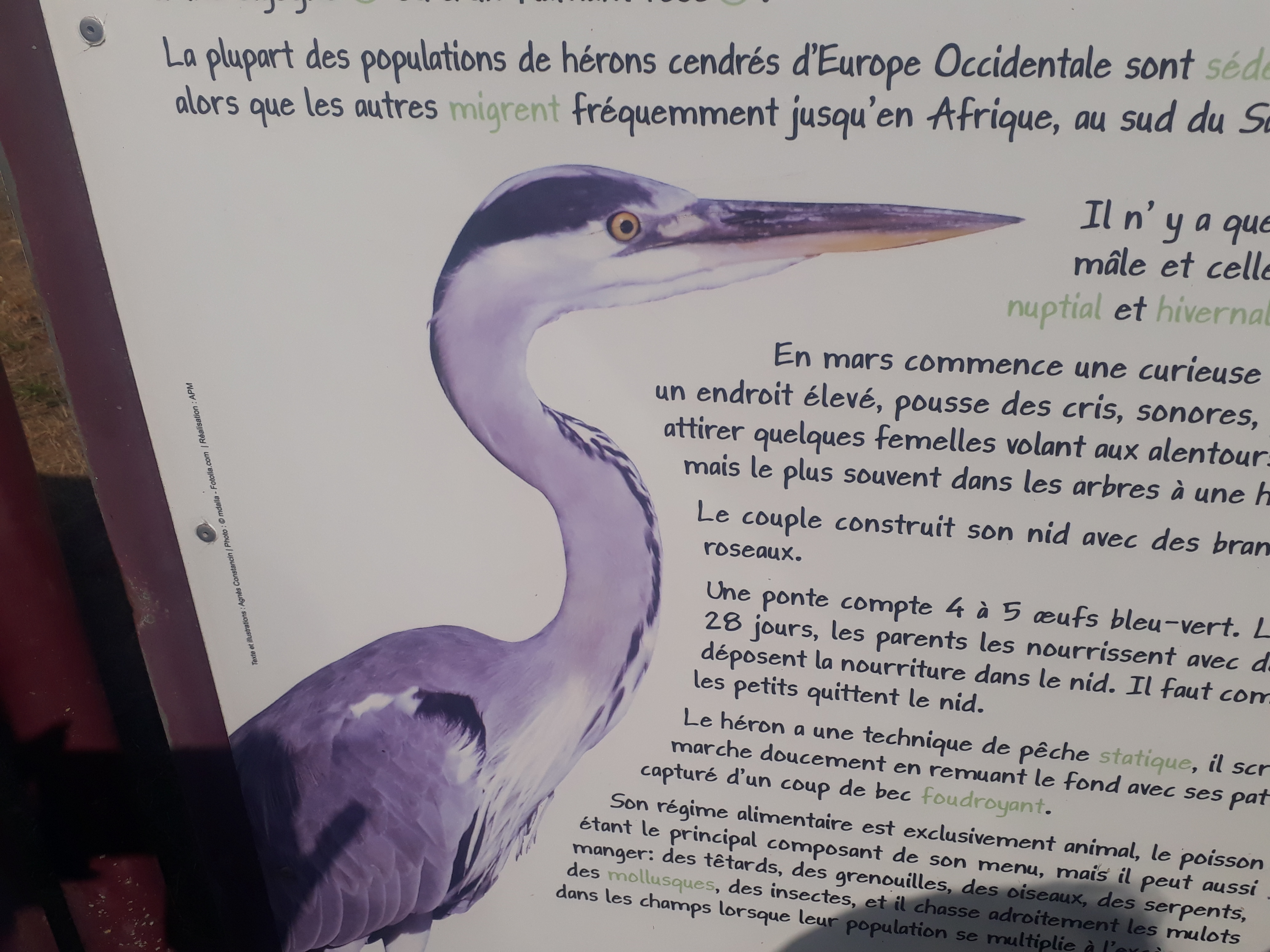 Photo n° 12 de l'avis de Karine.o fait le 13/08/2019 à 20:41