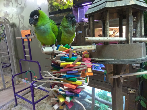Pet Store «Off The Hook Exotics Pet Shop», reviews and photos, 926 5th Ave, Coraopolis, PA 15108, USA