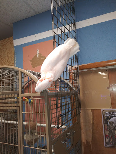 Pet Store «Forever Pets Inc», reviews and photos, 1030 Basse Rd, San Antonio, TX 78212, USA