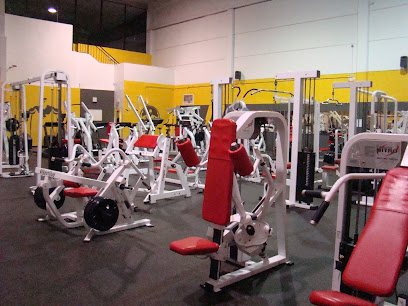 APOLLO GYM ARANJUEZ