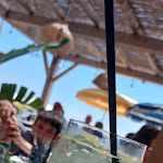 Photo n° 1 de l'avis de audrey.r fait le 08/05/2023 à 13:22 pour Il Parasole di Marco à Toulon