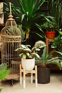 Outside Space Garden Center - Photo 7 - Car repair in Brooklyn, NY, New York