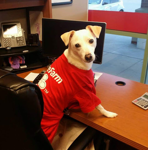 Insurance Agency «Kari Durham Taylor - State Farm Insurance Agent», reviews and photos