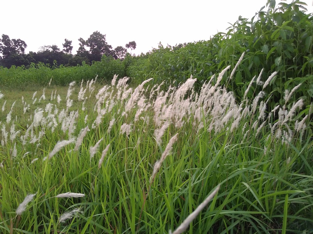 Atabuddin Mandal