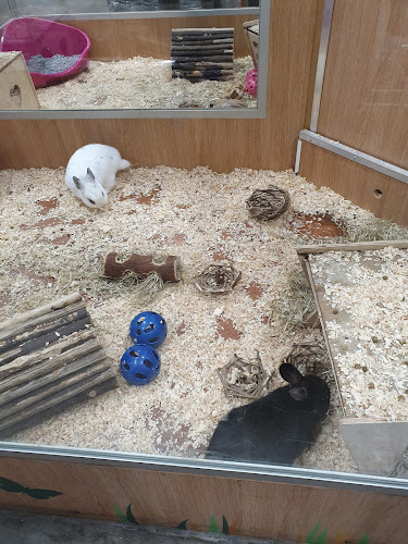 Reviews of Pets at Home Filton in Bristol - Shop