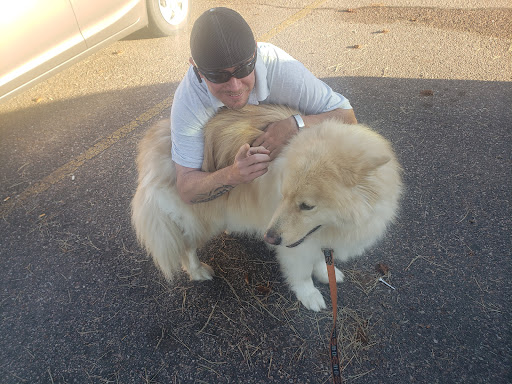 Courier Service «Your Courier Service LLC», reviews and photos, 706 Zion Dr, Colorado Springs, CO 80910, USA