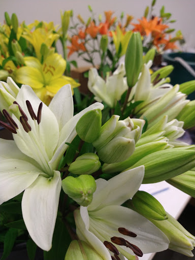 Florist «Grace Harper Florist, Inc.», reviews and photos, 4135 Woodward Ave, Detroit, MI 48201, USA