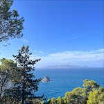 Photo n°1 de l'avis de SY.Sawitree.h fait le 24/01/2024 à 20:40 sur le  Olivastri di Cala Moresca à Cala Moresca