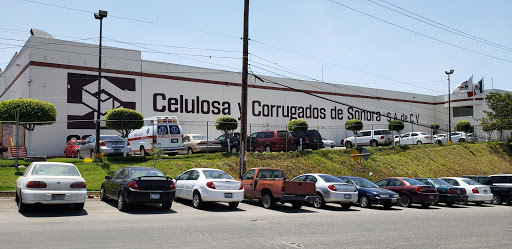 CECSO Celulosa y Corrugados de Sonora