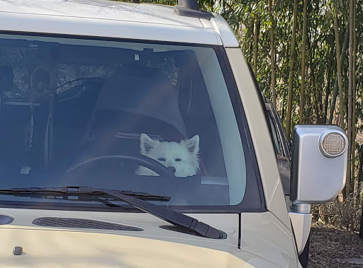 Auto Repair Shop «Phoenix Auto», reviews and photos, 10926 York Rd, Cockeysville, MD 21030, USA