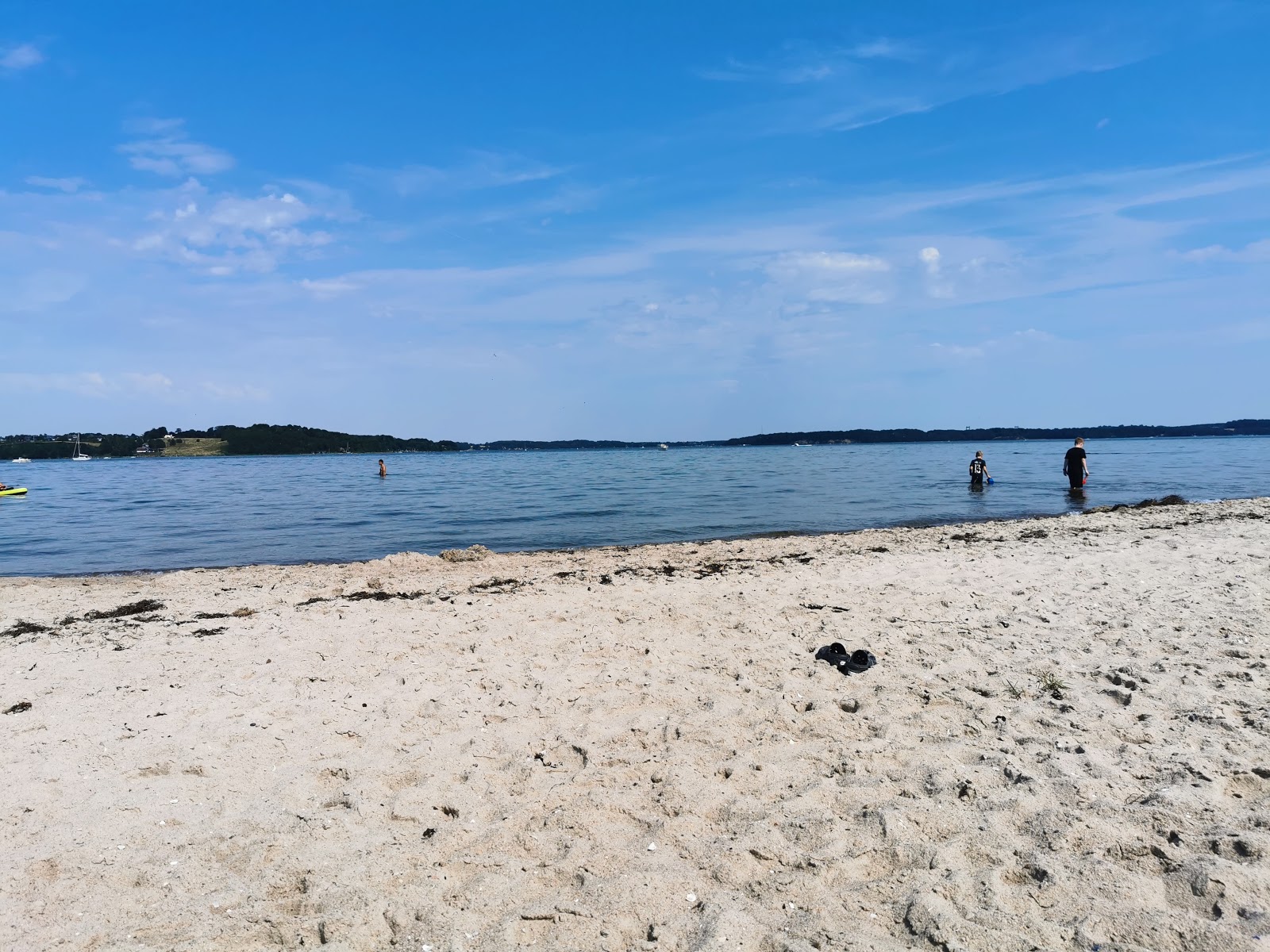Photo de Loverodde Beach zone sauvage