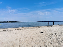 Photo de Loverodde Beach zone sauvage